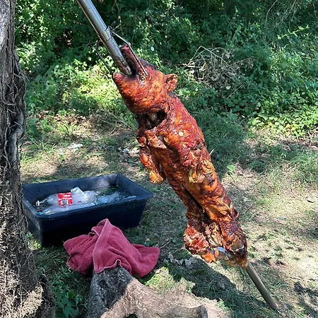 Oaza Mira Apartamento Gornja Tresnjica